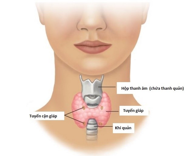 Điều trị phẫu thuật ung thư tuyến giáp biệt hóa tốt