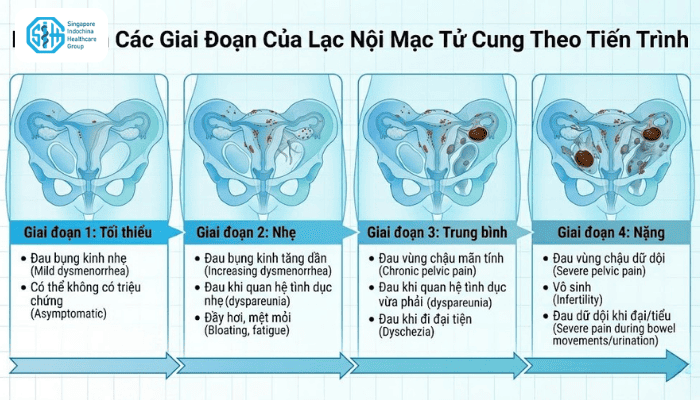 cac-giai-doan-cua-lac-noi-mac-tu-cung.png