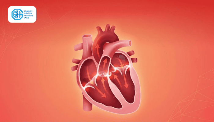 benh-van-tim-la-gi-cau-tao-van-tim.png