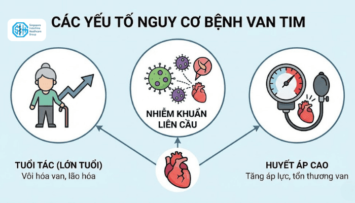 nguyen-nhan-yeu-to-nguy-co-benh-van-tim.png