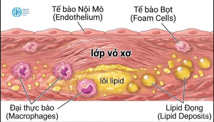 giai đoạn 3 ổn định