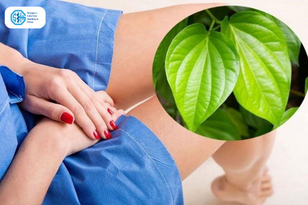 Vệ sinh vùng kín bằng lá trầu không