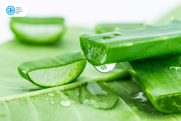 Nha đam hỗ trợ điều trị viêm âm đạo