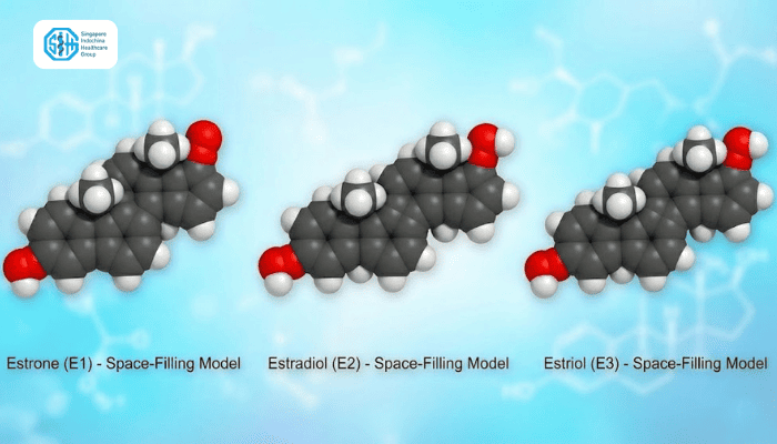 cac-dang-estrogen-chinh.png