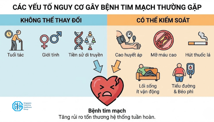 Cac-yeu-to-nguy-co-gay-benh-tim-mach-thuong-gap.png